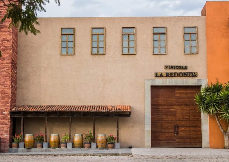 Vineyards La Redonda photo 2