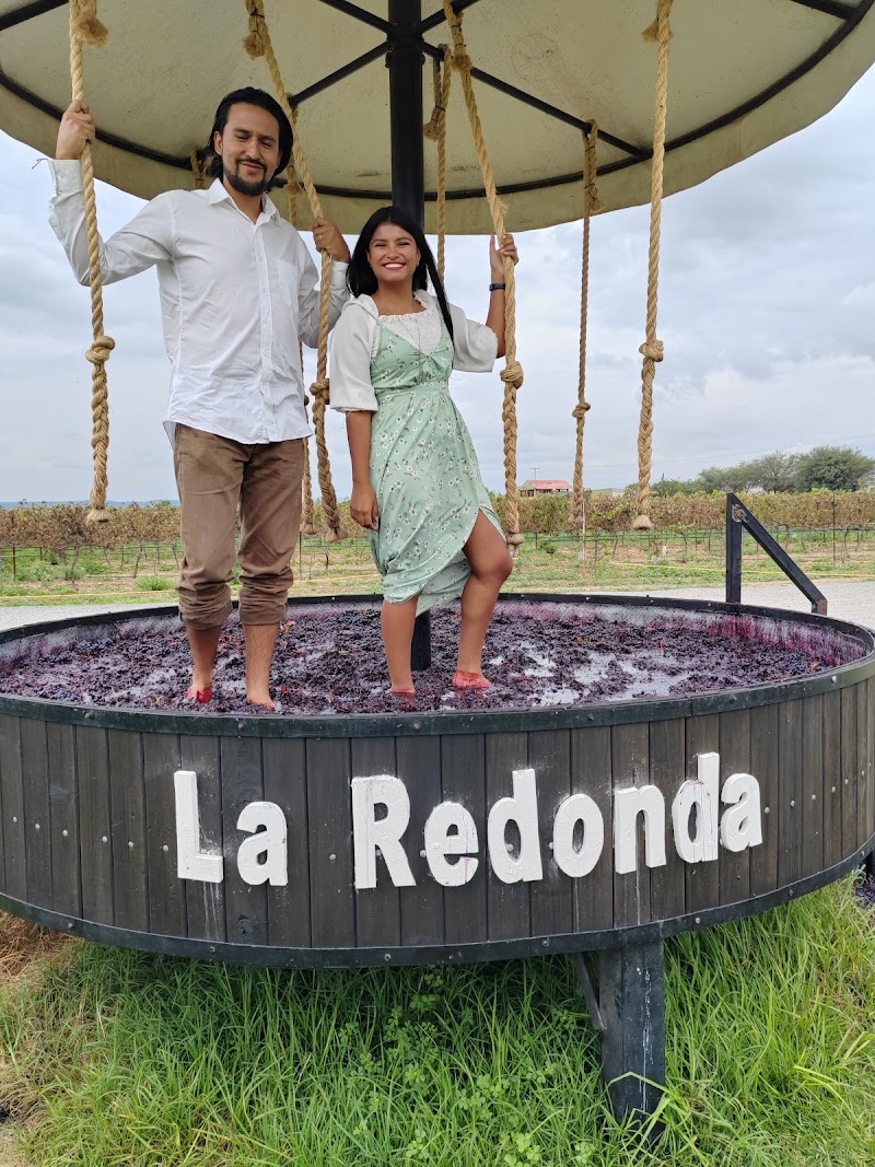 Vineyards La Redonda photo 4