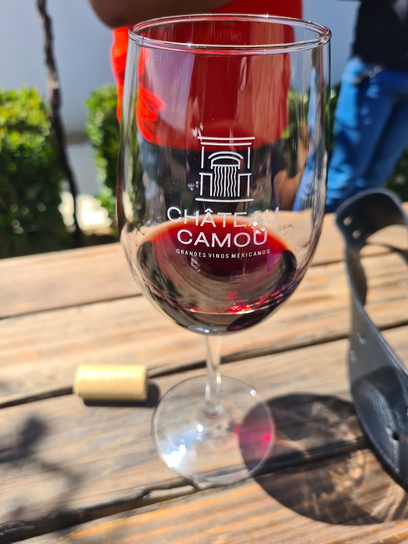 Vinícola Château Camou | Grandes Vinos Mexicanos Viñedo photo 2