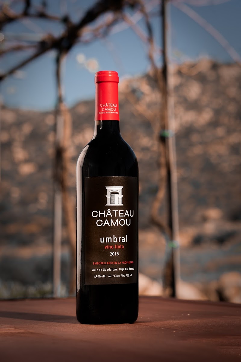 Vinícola Château Camou | Grandes Vinos Mexicanos Viñedo photo 4