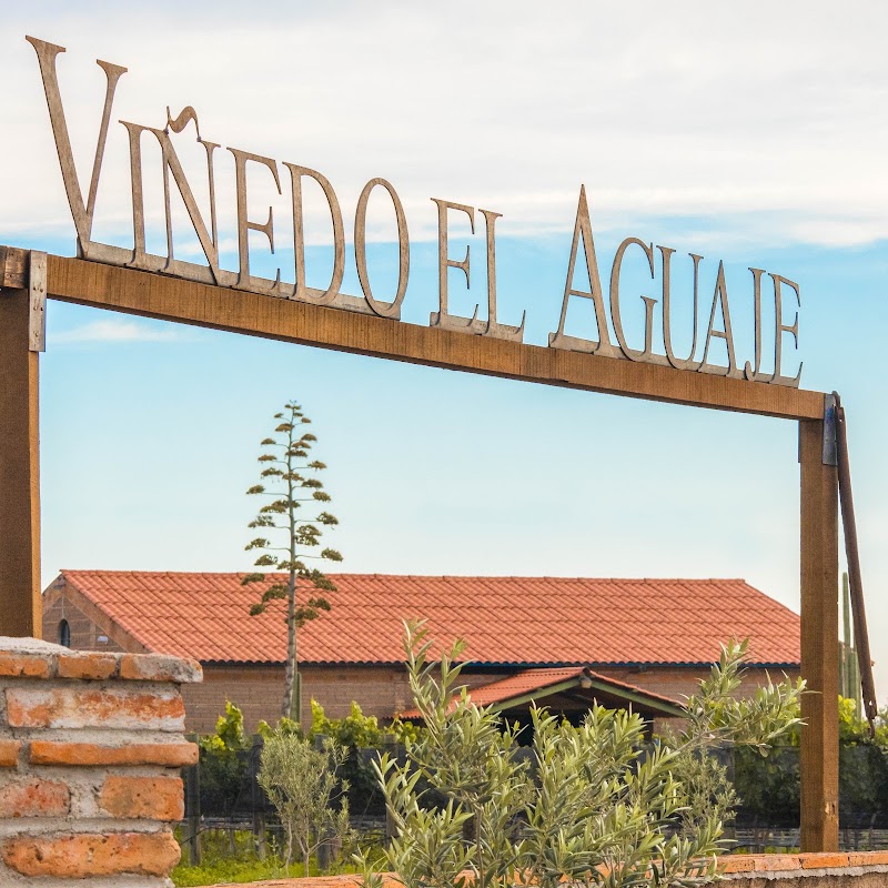 Vinícola el Aguaje photo 4