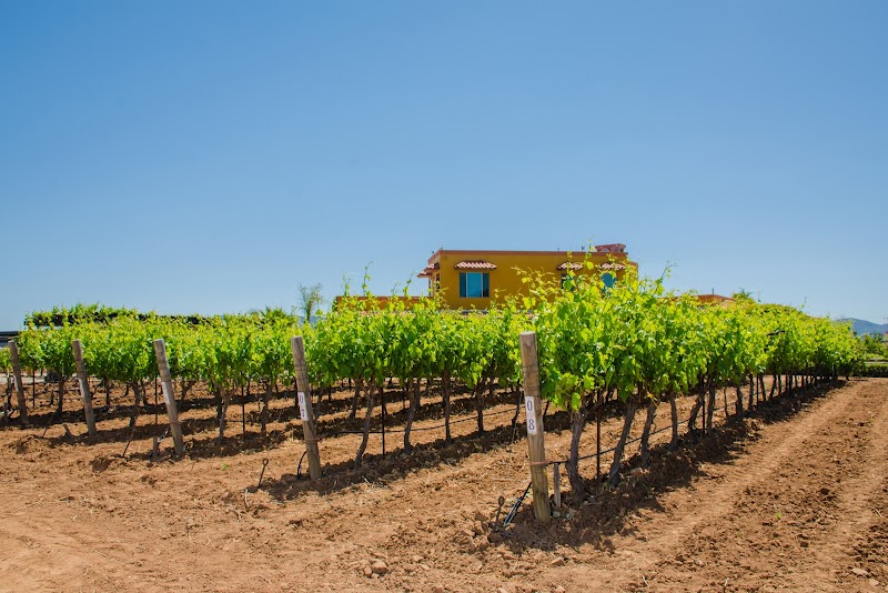 Vinícola Emevé photo 4