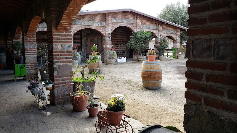Vinicola JC Bravo photo 1