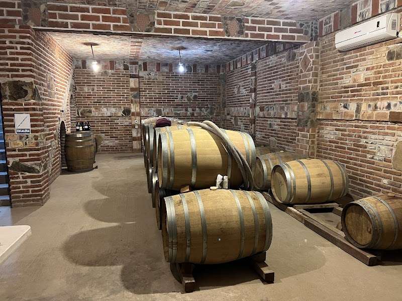 Vinicola JC Bravo photo 2