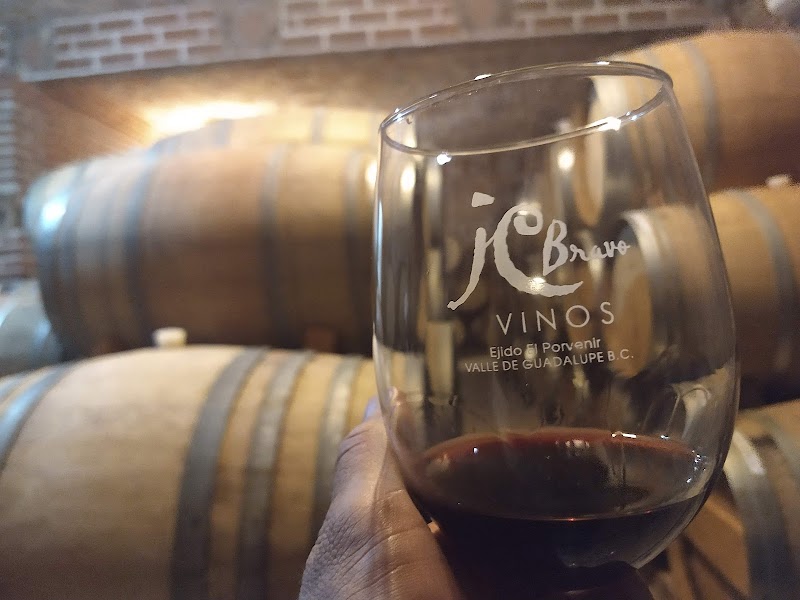 Vinicola JC Bravo photo 4