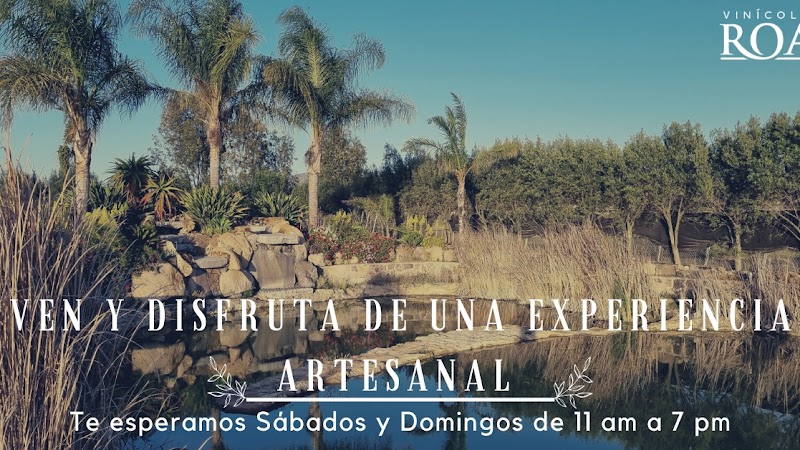 Vinícola Roa photo 1