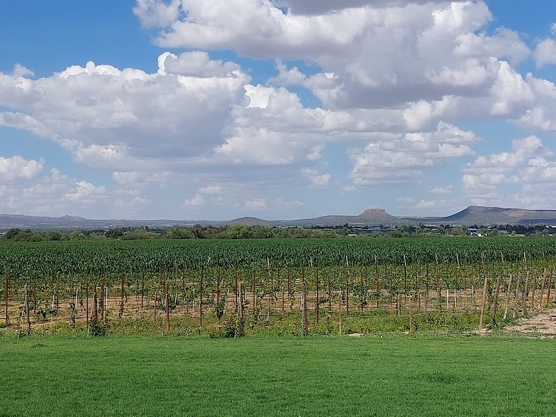 Vinícola Santa Elena photo 2