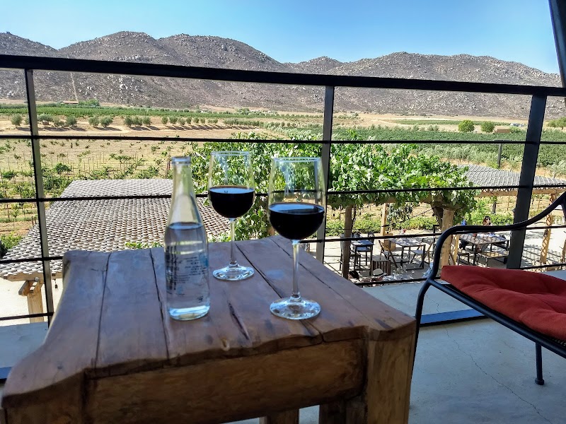 Vinicola Torres Alegre and Family photo 2