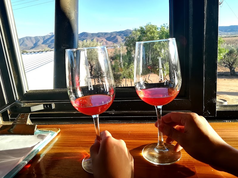 Vinicola Torres Alegre and Family photo 4