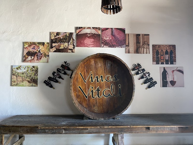 Vinícola Vitali photo 2