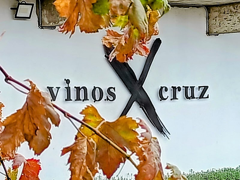 Vinos Cruz photo 2