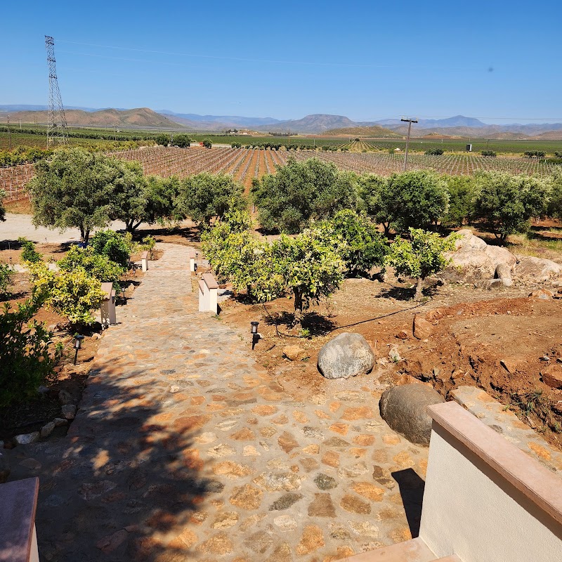 Vinos Dubacano photo 2