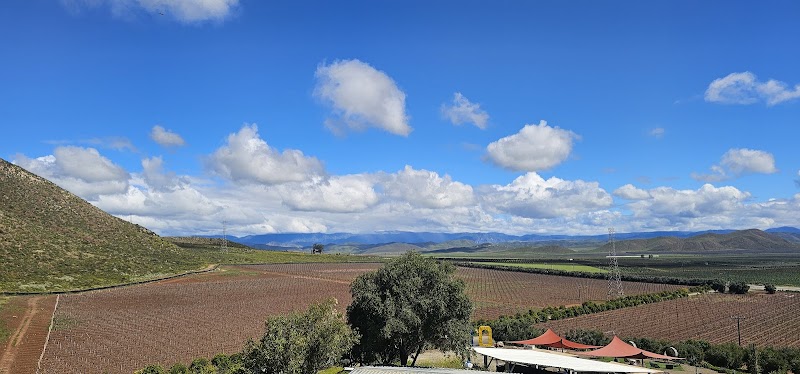 Vinos Dubacano photo 3