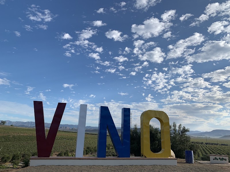Vinos Dubacano photo 4