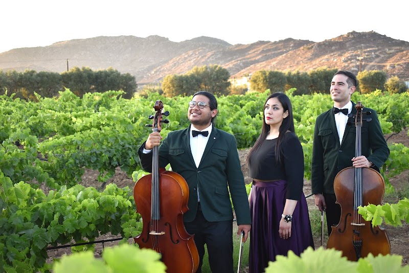 Vinos Fuentes photo 1