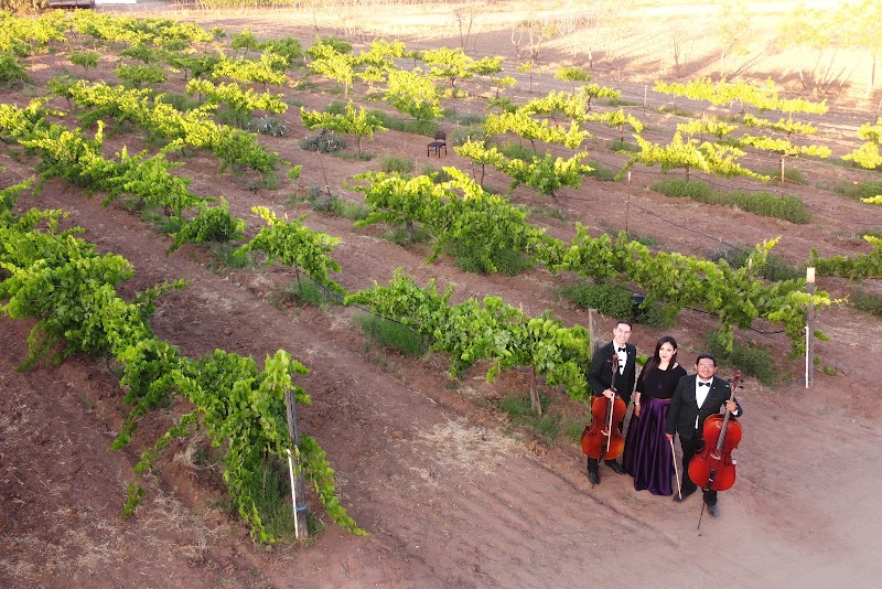 Vinos Fuentes photo 2