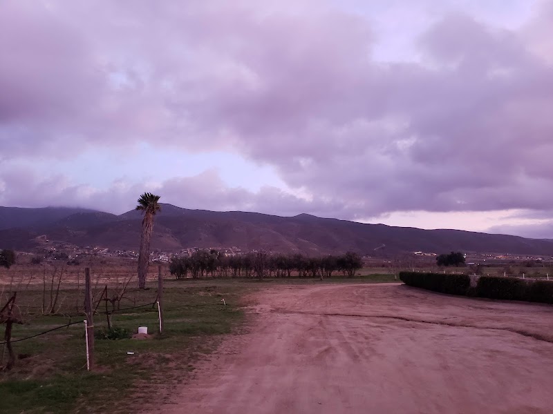 Vinos Fuentes photo 4