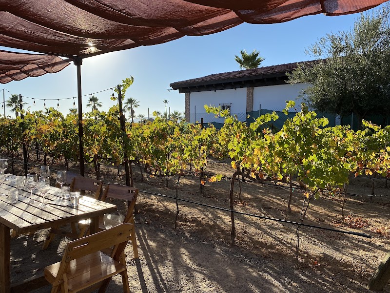 Vinos Lechuza photo 1