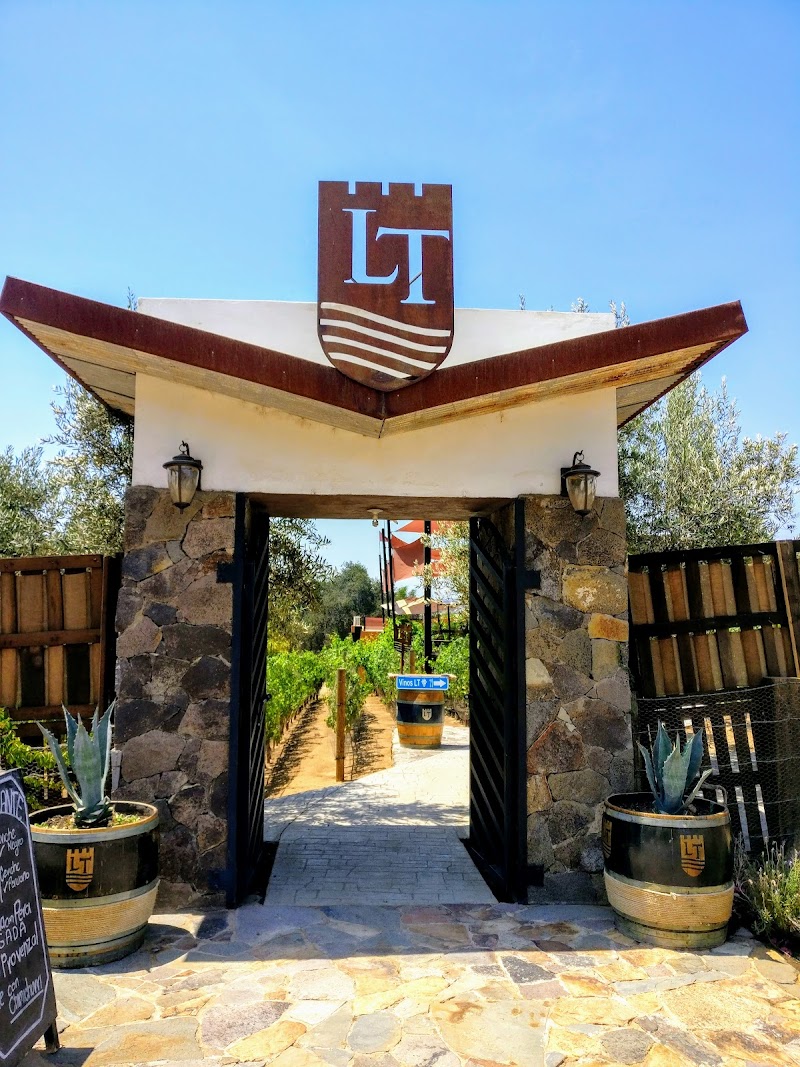 Vinos LT photo 4