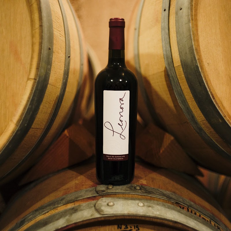 Vinos Pijoan photo 3