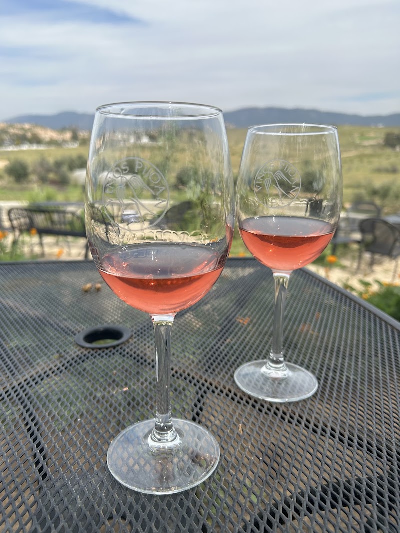 Vinos Pijoan photo 5