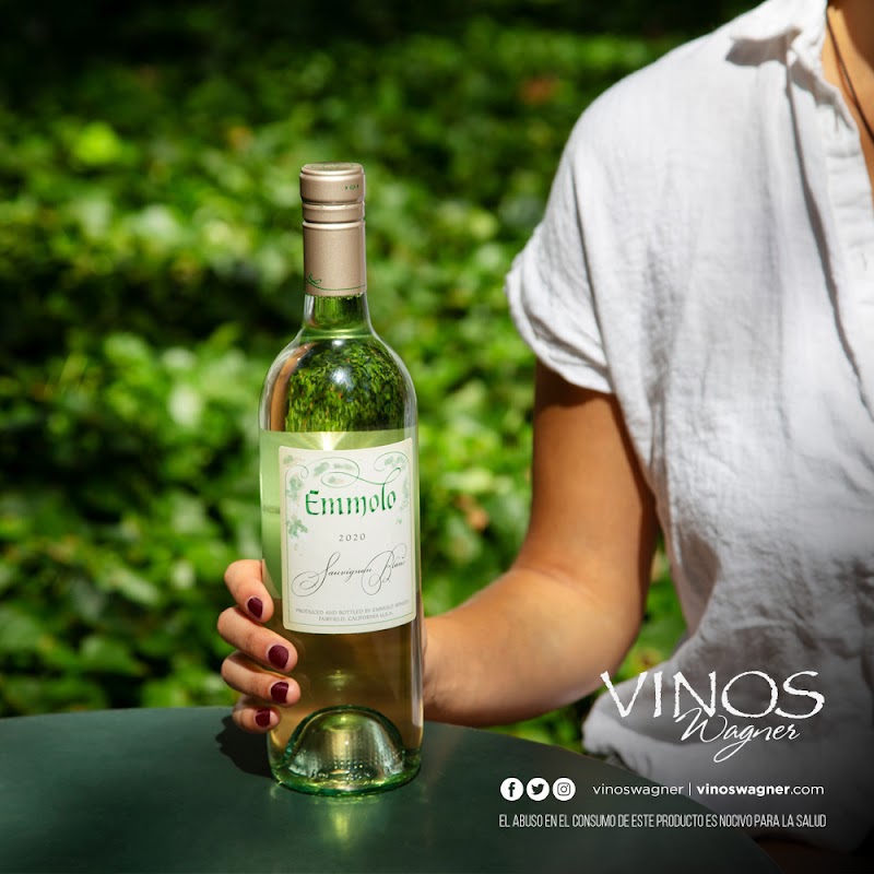 Vinos Reynier photo 3