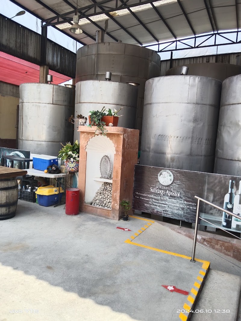 Vinos Santiago Apostol photo 1