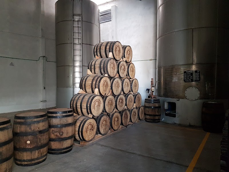 Vinos Santiago Apostol photo 2