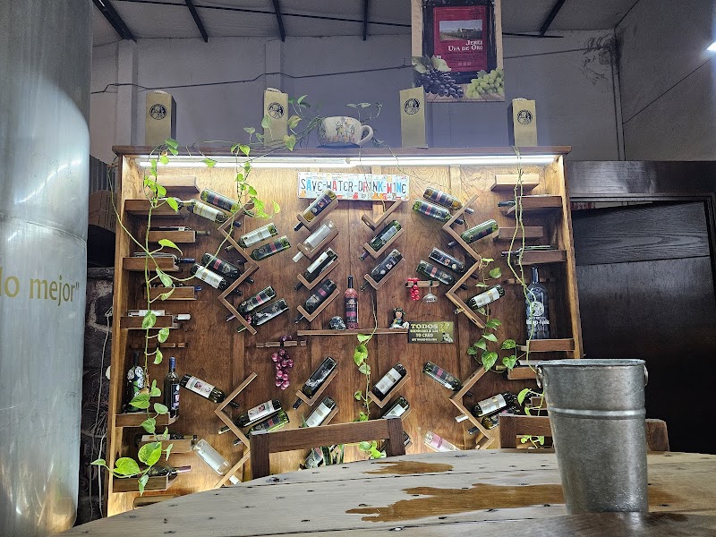 Vinos Santiago Apostol photo 3