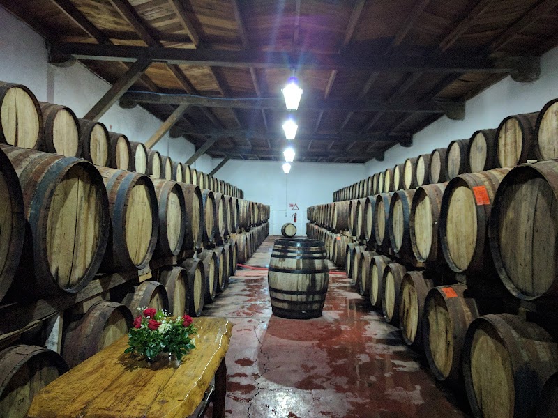 Wine Museum photo 1