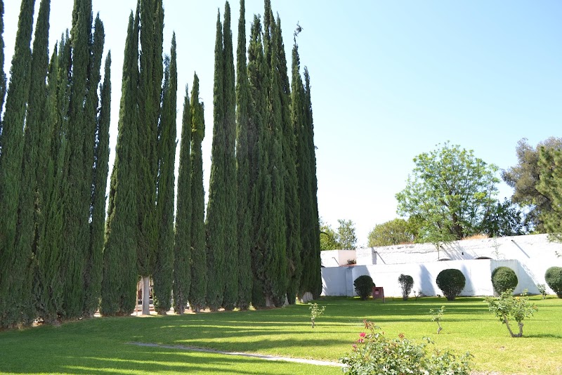 Wine Museum photo 3
