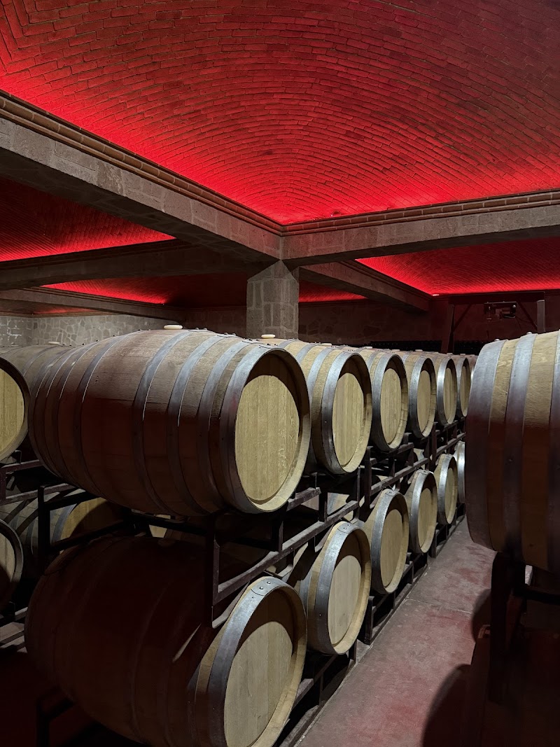 Winery San Juanito Vitivinicola photo 3