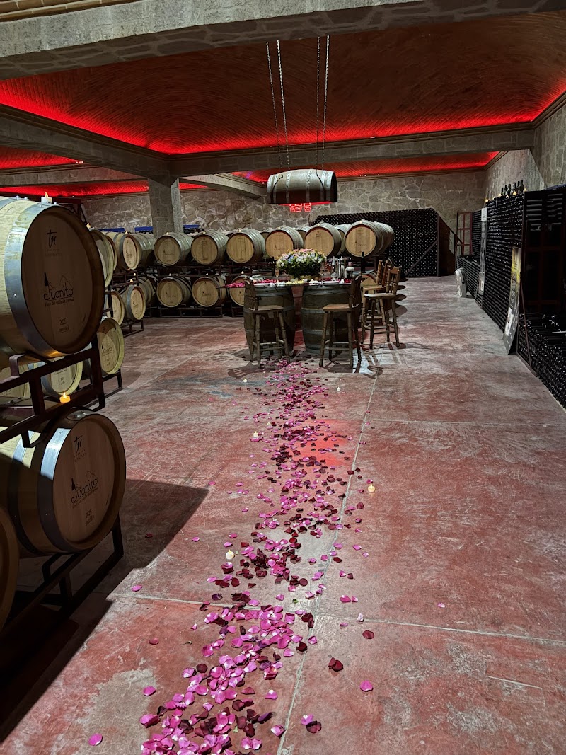 Winery San Juanito Vitivinicola photo 4