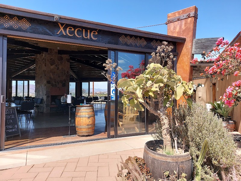 Xecue Vinicola photo 1