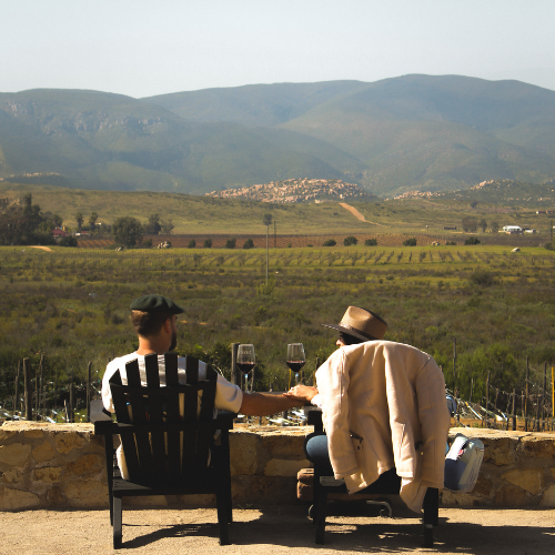 Xecue Vinicola photo 2