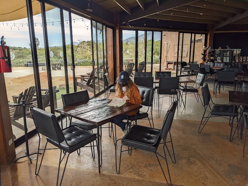 Xecue Vinicola photo 3