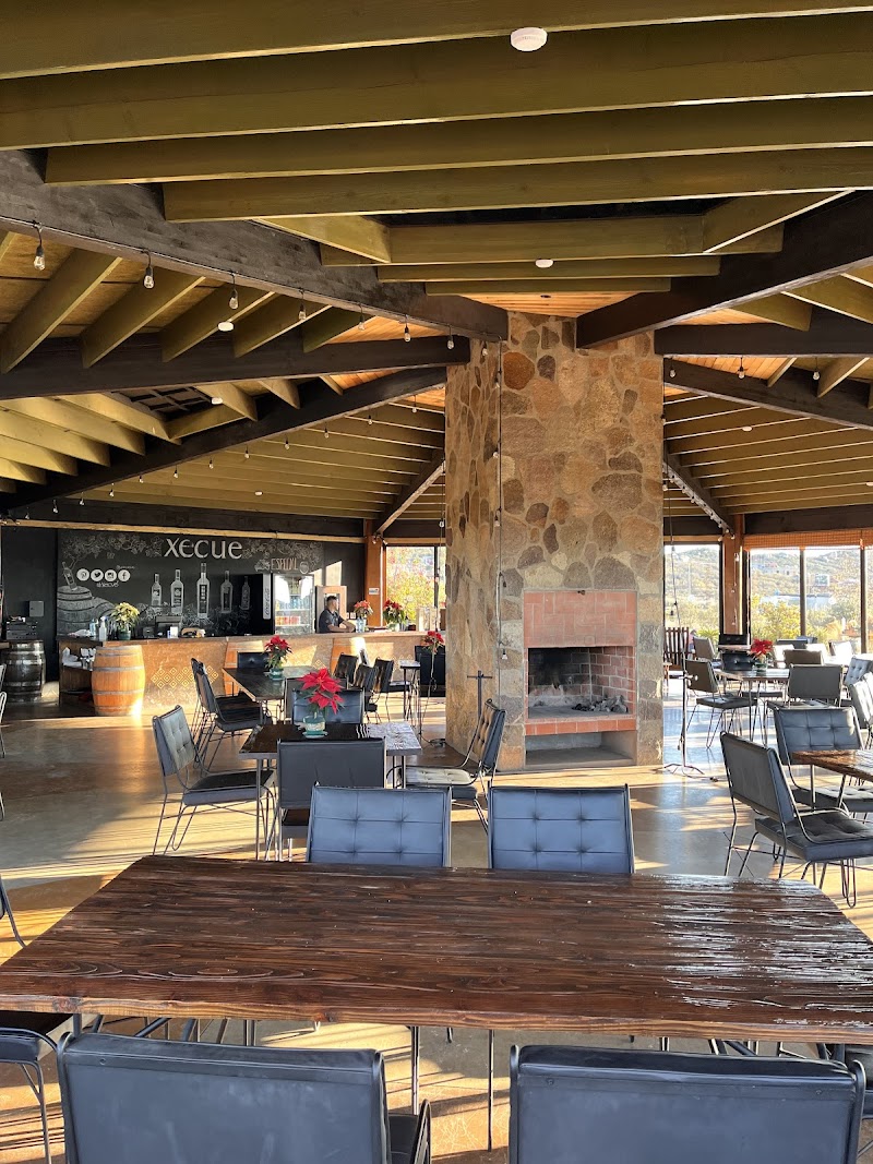 Xecue Vinicola photo 4