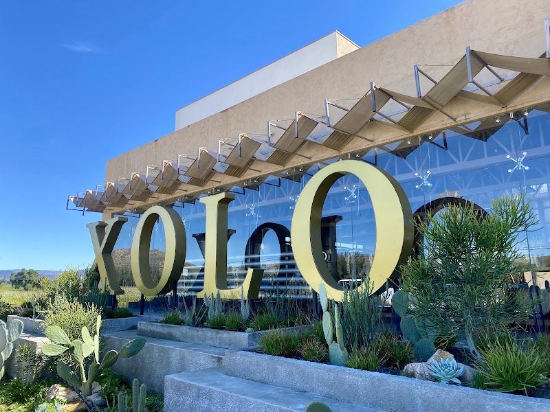 Xolo Wine photo 2