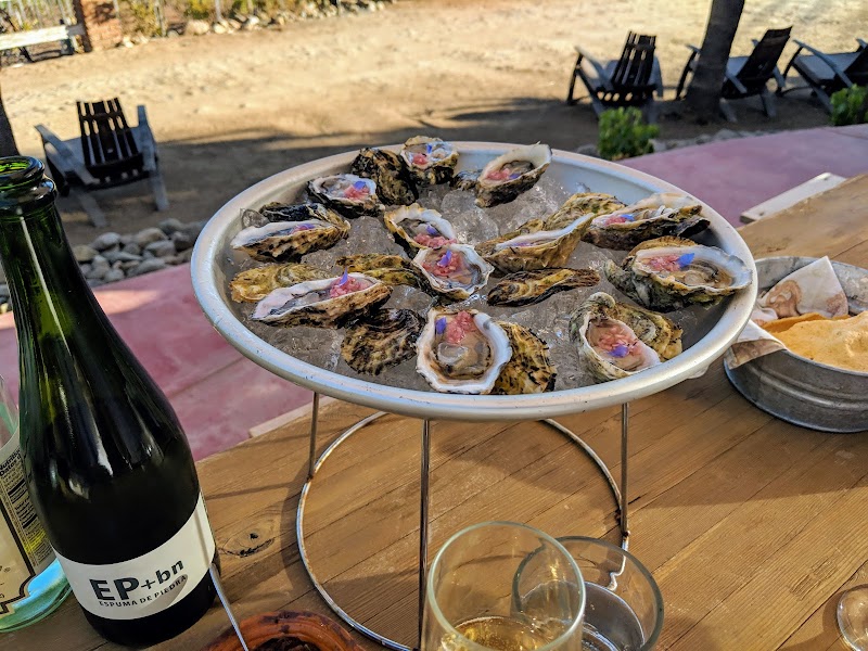 Shells & New Wine Festival XXVI