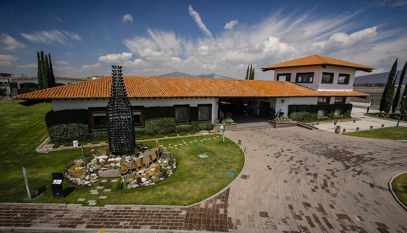 Finca Sala Vivé Harvest Festival
