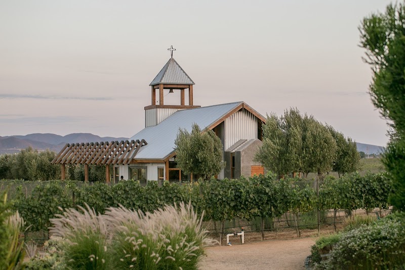 Viñadas Valle de Guadalupe 2026