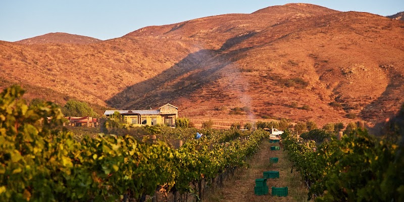 Bodegas F. Rubio photo 1