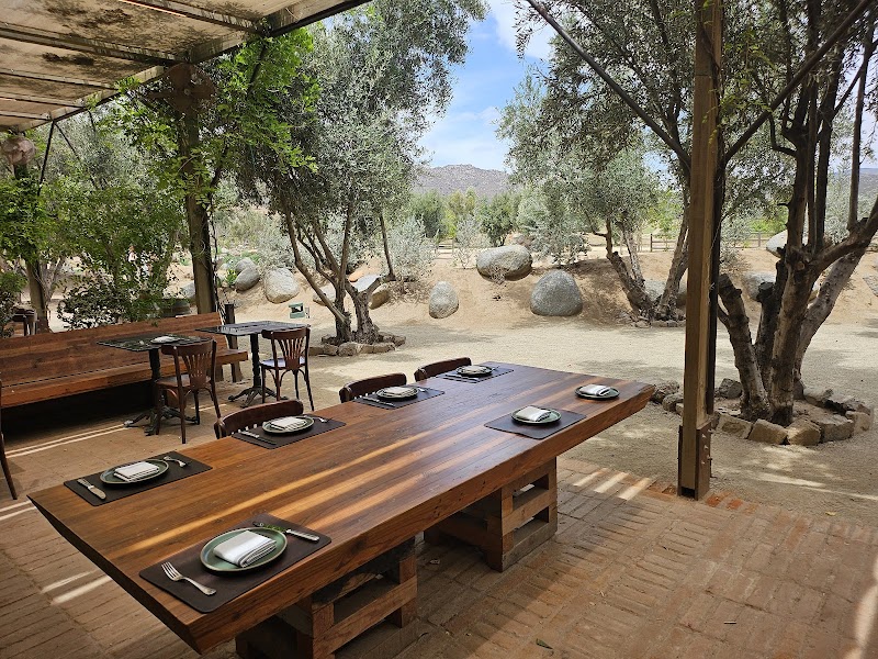 Bruma Wine Garden photo 2