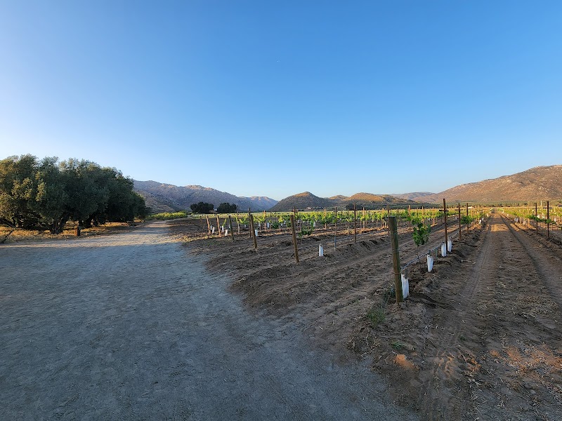Bruma Wine Garden photo 3