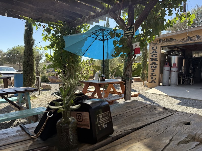 Cervecería Bellinghausen photo 2