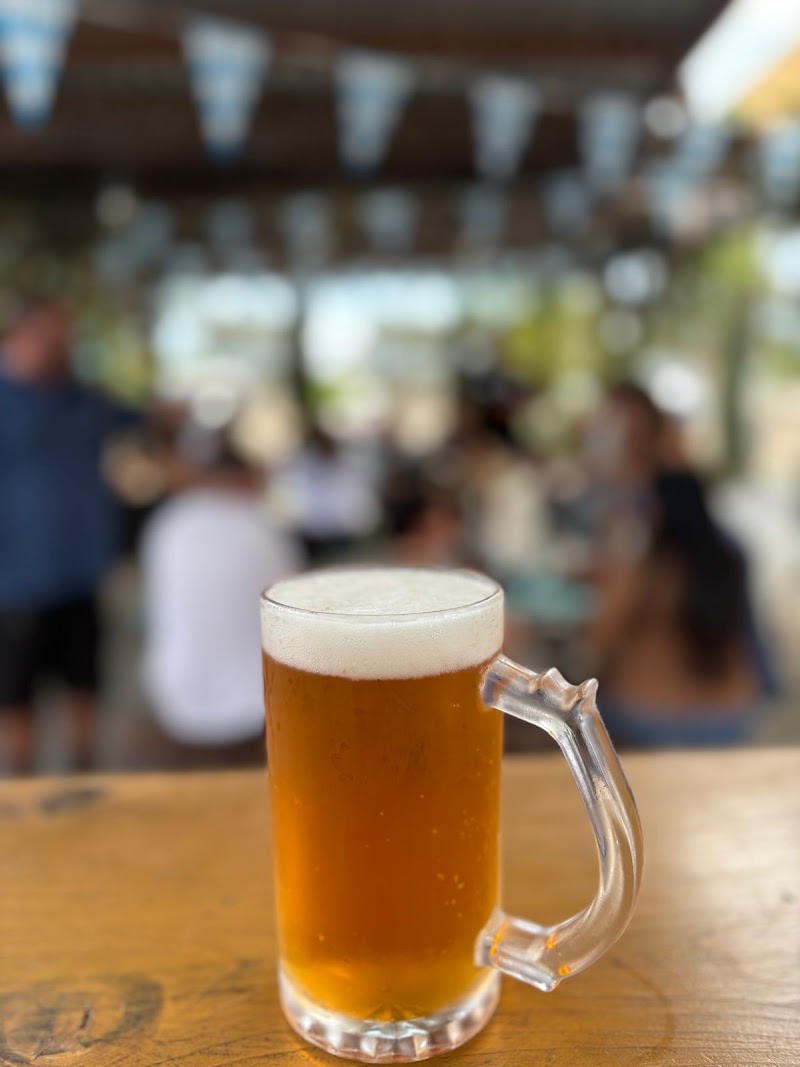 Cervecería Bellinghausen photo 3