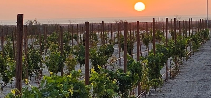 Chateau San Felipe photo 4