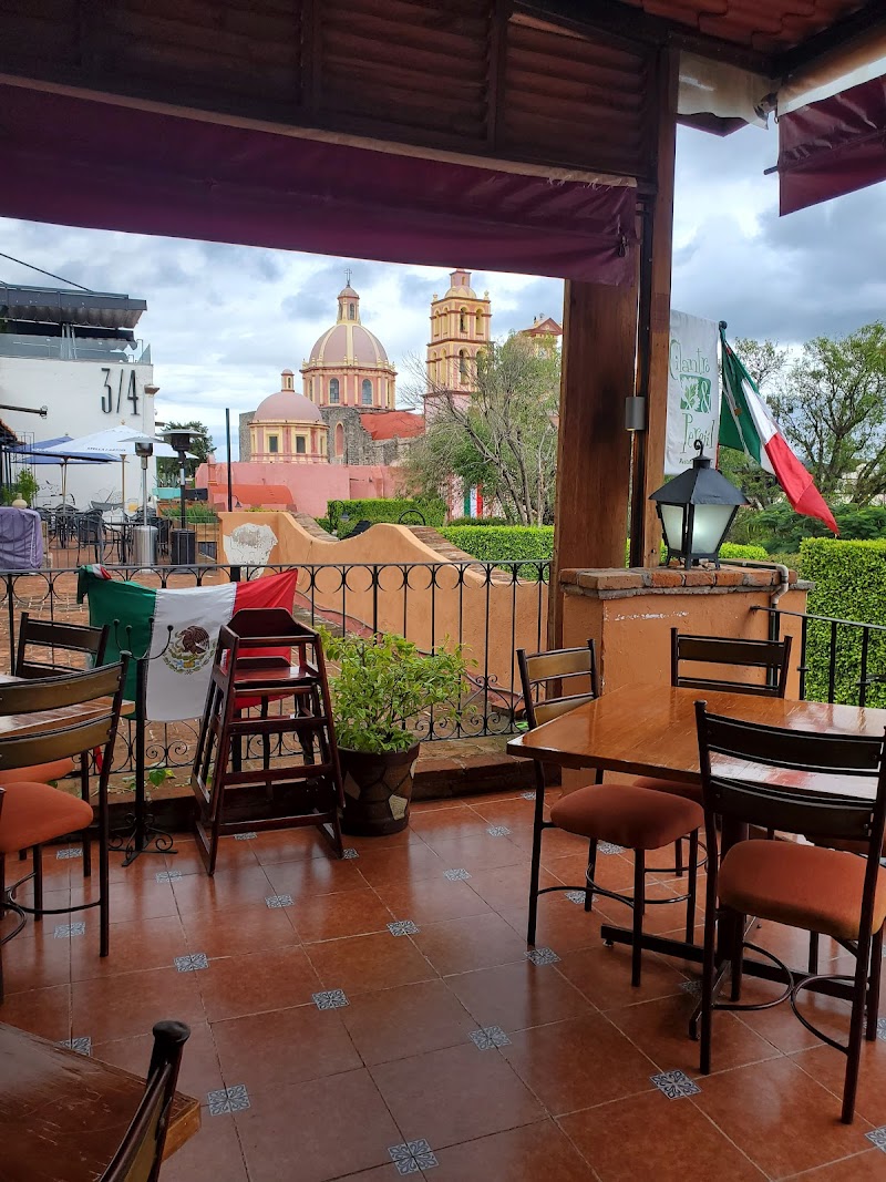 Cilantro y Perejil photo 1