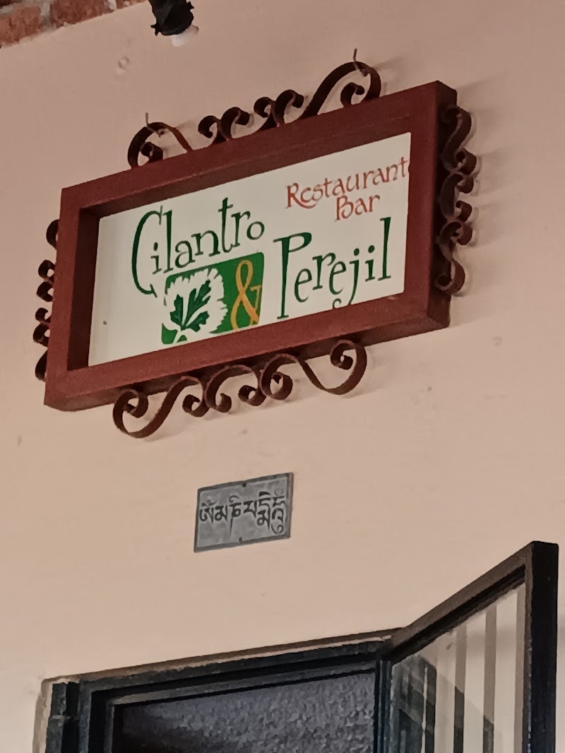 Cilantro y Perejil photo 4