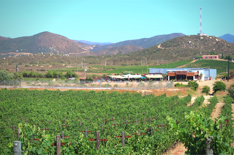 Corona del Valle photo 2